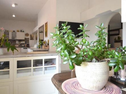 Prodej penzion, 662 m²