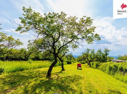 Prodej pozemku pro komerční výstavbu, 3 876 m²