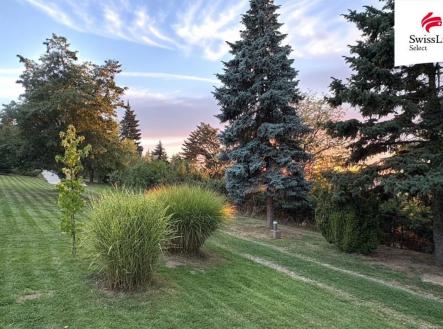 Prodej domu/vily, 242 m²