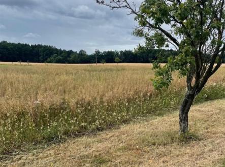 Prodej pozemku pro bydlení, 1 109 m²