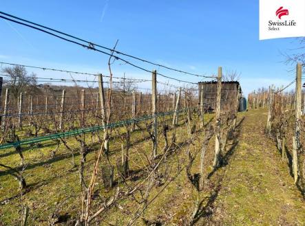 Prodej pozemku pro komerční výstavbu, 1 748 m²