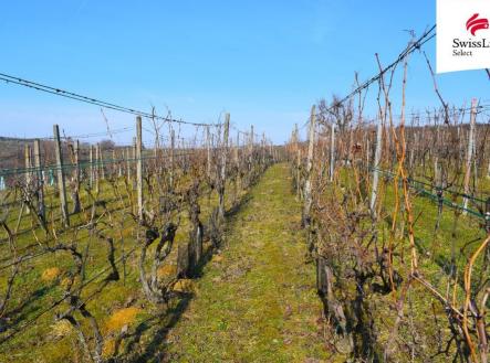 Prodej pozemku pro komerční výstavbu, 1 748 m²