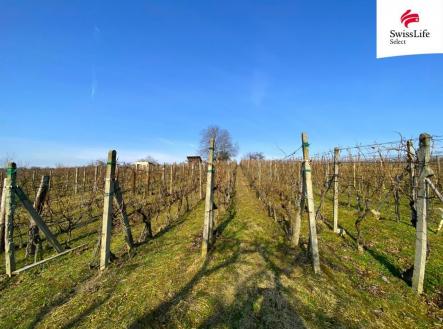 Prodej pozemku pro komerční výstavbu, 1 748 m²