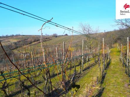 Prodej pozemku pro komerční výstavbu, 1 748 m²