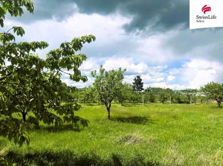 Prodej pozemku pro bydlení, 892 m²