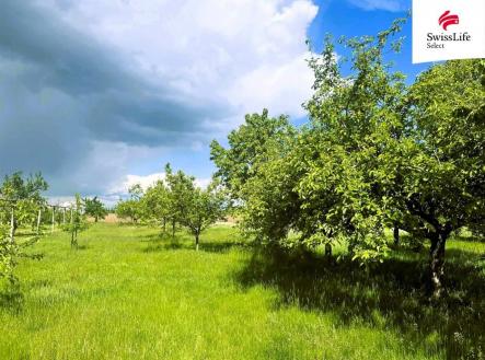 Prodej pozemku pro bydlení, 892 m²