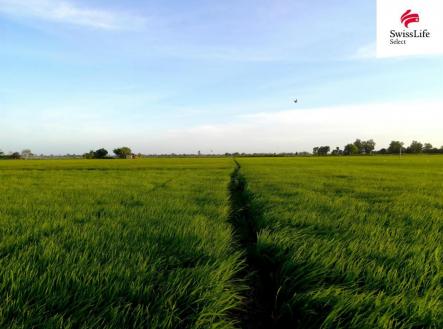 Prodej pozemku, zemědělská půda, 75 919 m²