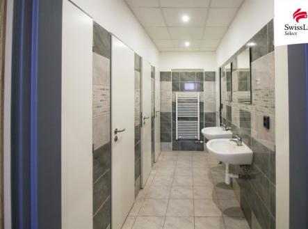 Pronájem obchodní prostor, 300 m²