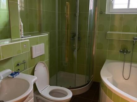 Pronájem bytu, 2+1, 55 m²