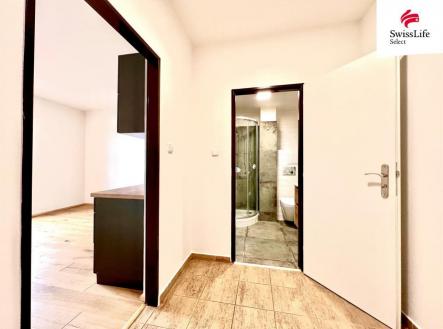 Pronájem bytu, 1+kk, 24 m²