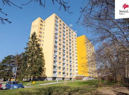 Prodej bytu, 1+kk, 24 m²