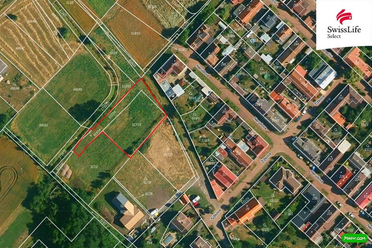 fotografie
