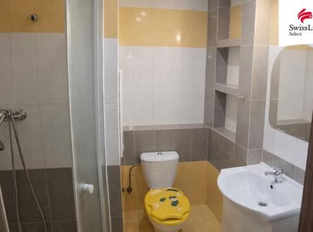 Pronájem bytu, 1+1, 35 m²