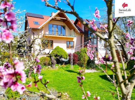 Prodej domu/vily, 320 m²