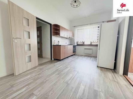 Pronájem bytu, 1+1, 48 m²