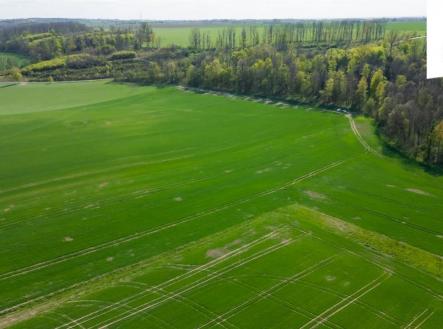 Prodej pozemku, zemědělská půda, 18 365 m²