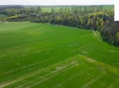 Prodej pozemku, zemědělská půda, 18 365 m²
