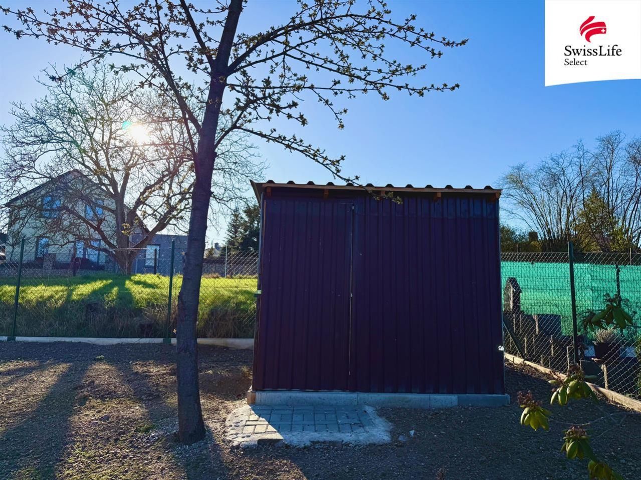 fotografie