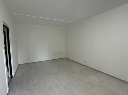 Pronájem bytu, 1+1, 39 m²
