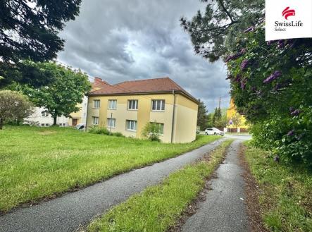 fotografie