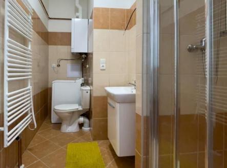 Pronájem bytu, 1+kk, 29 m²