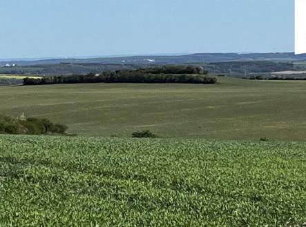 Prodej pozemku, zemědělská půda, 9 461 m²