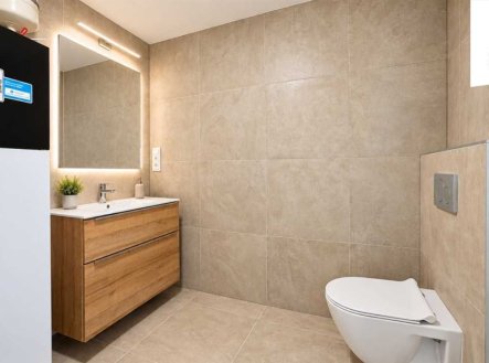 Pronájem domu/vily, 120 m², Sezemice – náhled fotky 4