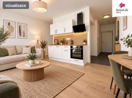 Pronájem bytu, 1+kk, 36 m², Plzeň – náhled fotky 3