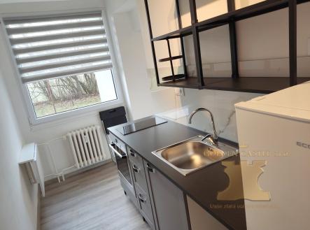 Pronájem bytu, 1+1, 35 m²