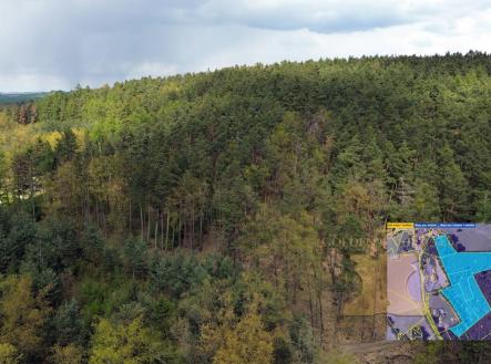Prodej pozemku, les, 24 035 m²