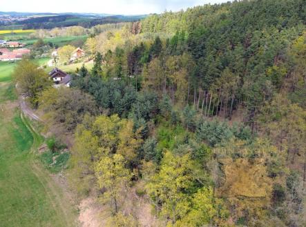 Prodej pozemku, les, 24 035 m²