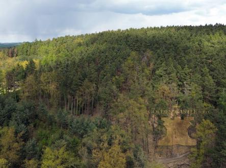 Prodej pozemku, les, 24 035 m²