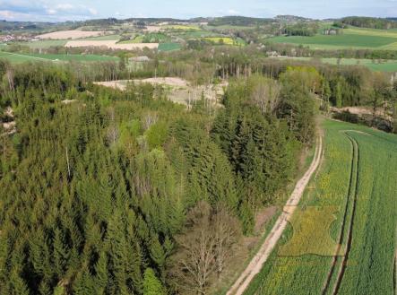 Prodej - pozemek, les, 5 521 m²