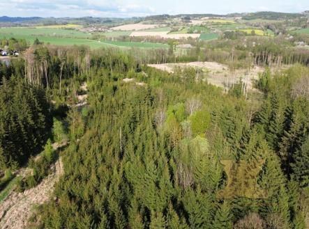Prodej - pozemek, les, 5 521 m²