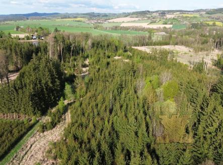 Prodej - pozemek, les, 5 521 m²