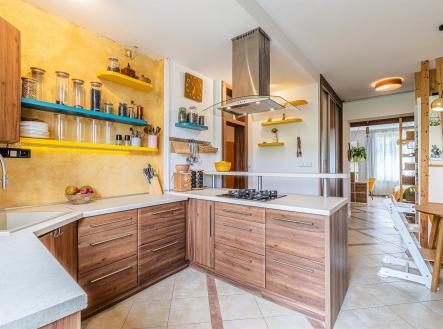 Prodej domu/vily, 295 m²