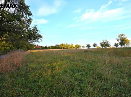 Prodej pozemku, zemědělská půda, 4 674 m²