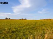 Prodej pozemku, zemědělská půda, 3 472 m²