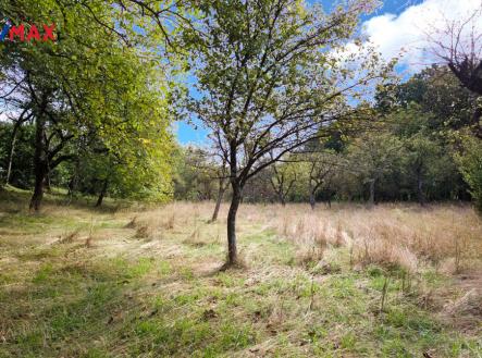 Prodej - pozemek pro bydlení, 2 661 m²