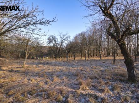 Prodej pozemku pro bydlení, 2 661 m² obrázek