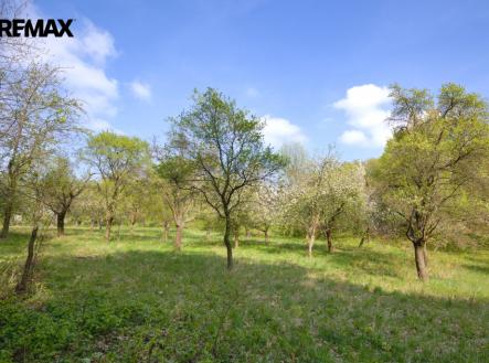 Prodej pozemku pro bydlení, 2 661 m²