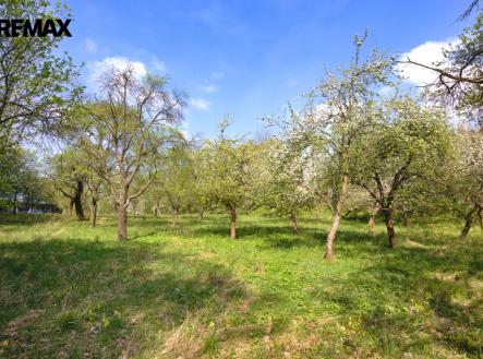 Prodej pozemku pro bydlení, 2 661 m²