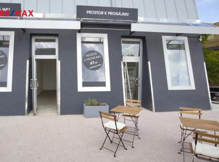 Pronájem obchodní prostor, 47 m²