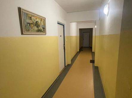 Pronájem bytu, 1+kk, 29 m²