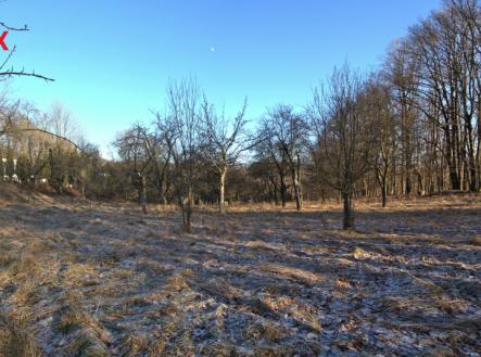 Prodej pozemku pro bydlení, 1 860 m²