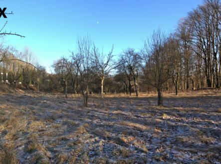 Prodej pozemku pro bydlení, 1 860 m²