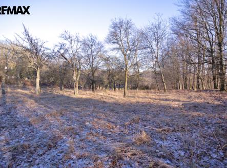 Prodej pozemku pro bydlení, 1 860 m²