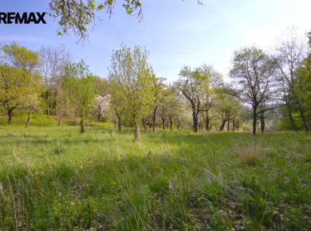 Prodej pozemku pro bydlení, 1 860 m² obrázek