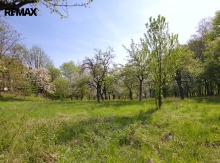 Prodej pozemku pro bydlení, 1 860 m²