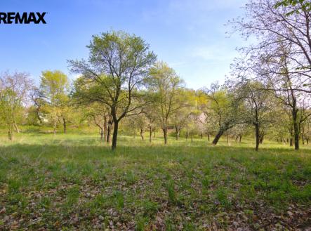 Prodej pozemku pro bydlení, 1 860 m²